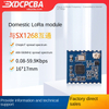 lora network
