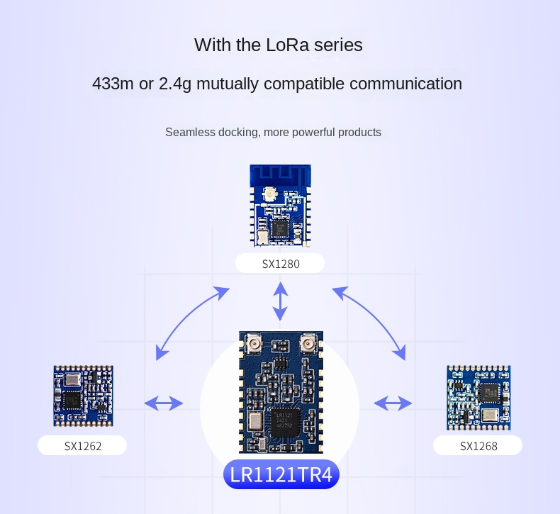 lora network