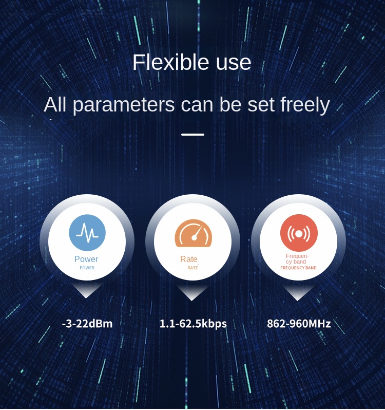 LoRa network module