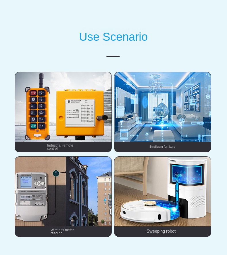 lora 2.4