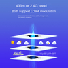 LoRa dual-band wireless module 433M 2.4G RF communication LoRaWAN IoT transceiver integrated LR1121