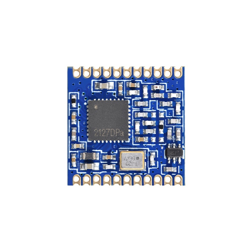 LoRa wireless module
