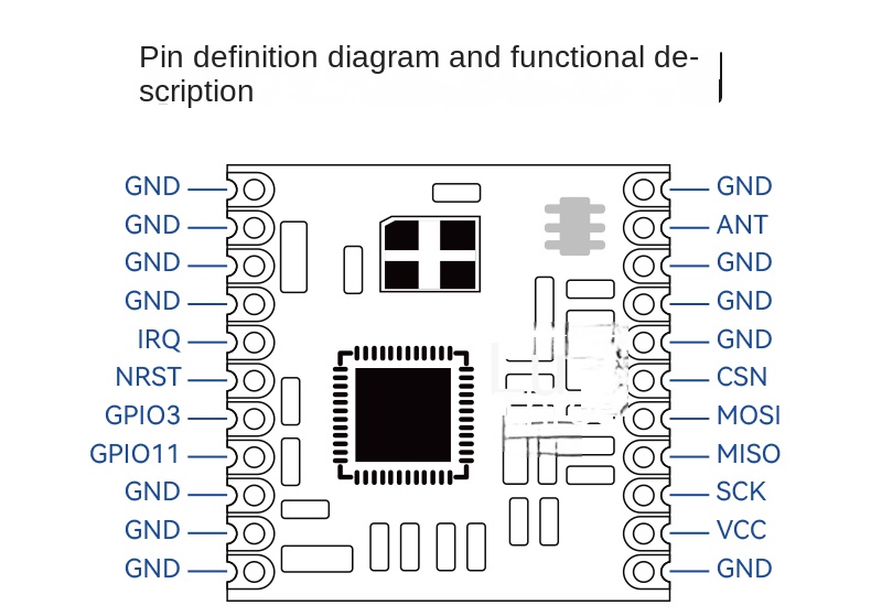 lora module